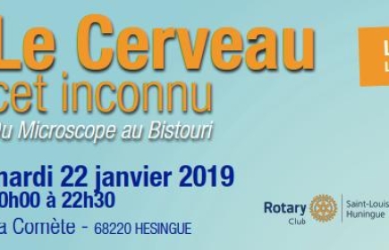 Le cerveau cet inconnu
